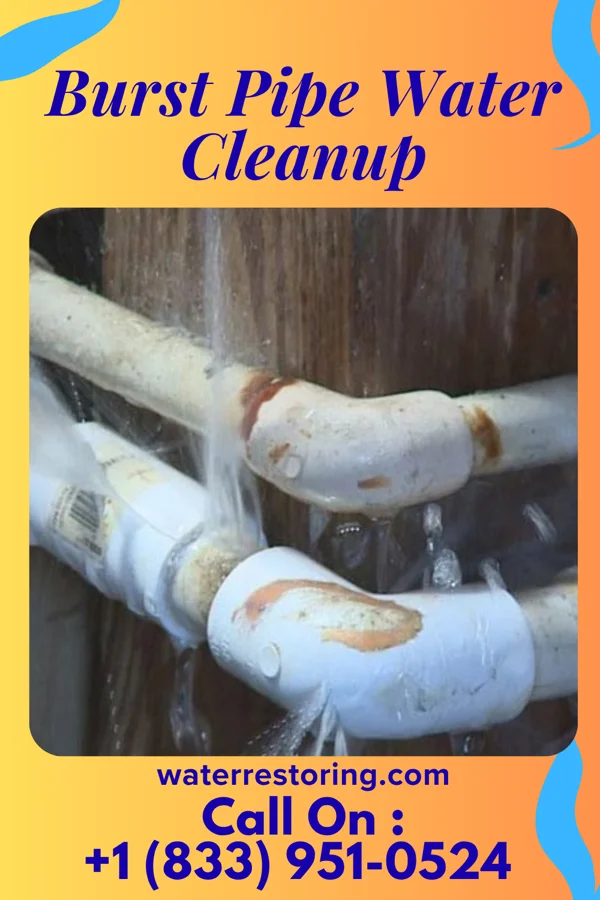 Burst Pipe Water Cleanup in Apache Creek, NM