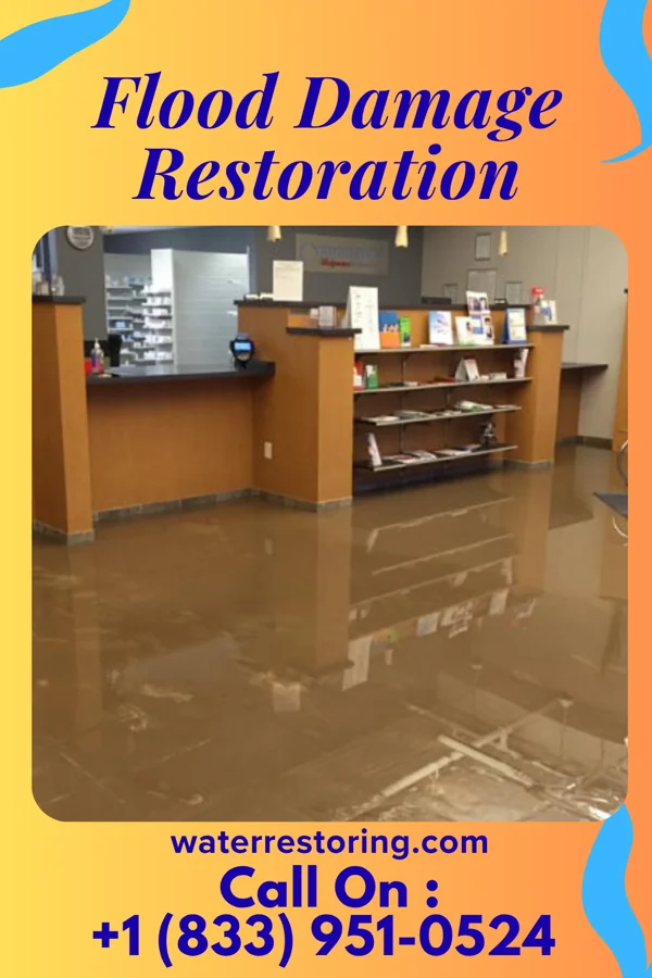 Flood Damage Restoration in Apache Creek, NM