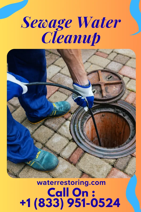 Sewage Water Cleanup in Apache Creek, NM