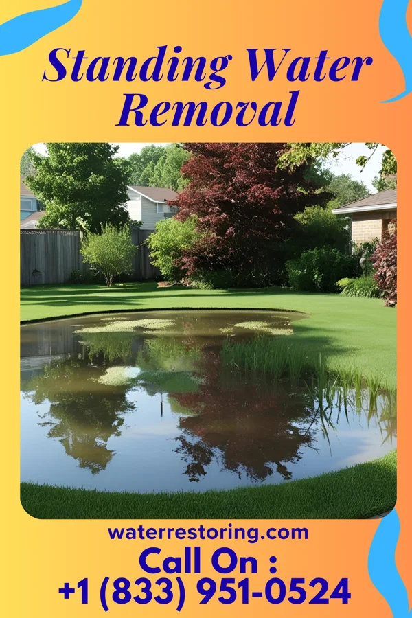 Standing Water Removal in Apache Creek, NM